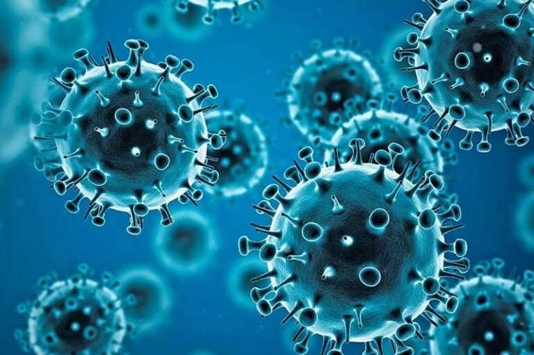 coronavirus-2.tmb-1920v